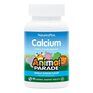 Natures Plus AP Calcium (90 жевательных таблеток) ваниль, кальций жевательный