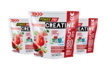 Power Pro Creatine Maximum Recovery (400 гр) арбузный слинг