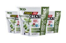 Power Pro Creatine Maximum Recovery (400 гр) мохито